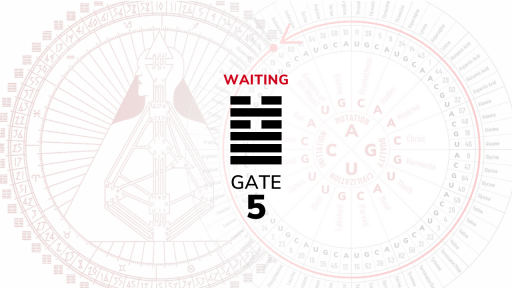 Gate 5 – Waiting
