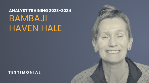 Bambaji Haven Hale Analyst Training Testimonial
