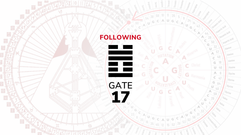 Gate 17 – Following