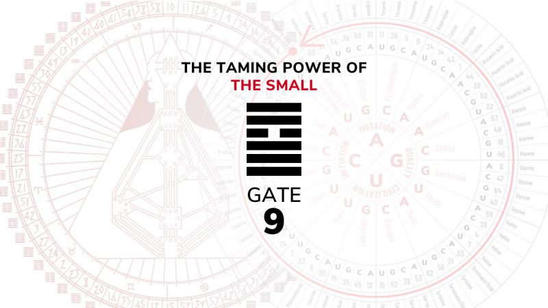 Gate 9 – The Taming Power of the Small