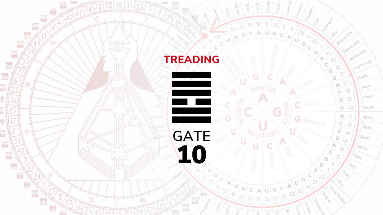 Gate 10 – Treading