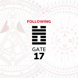 Gate 17 - Following