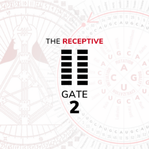 Gate 2 - The Receptive