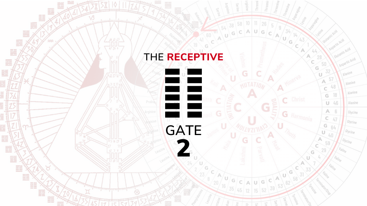 Gate 2 – The Receptive