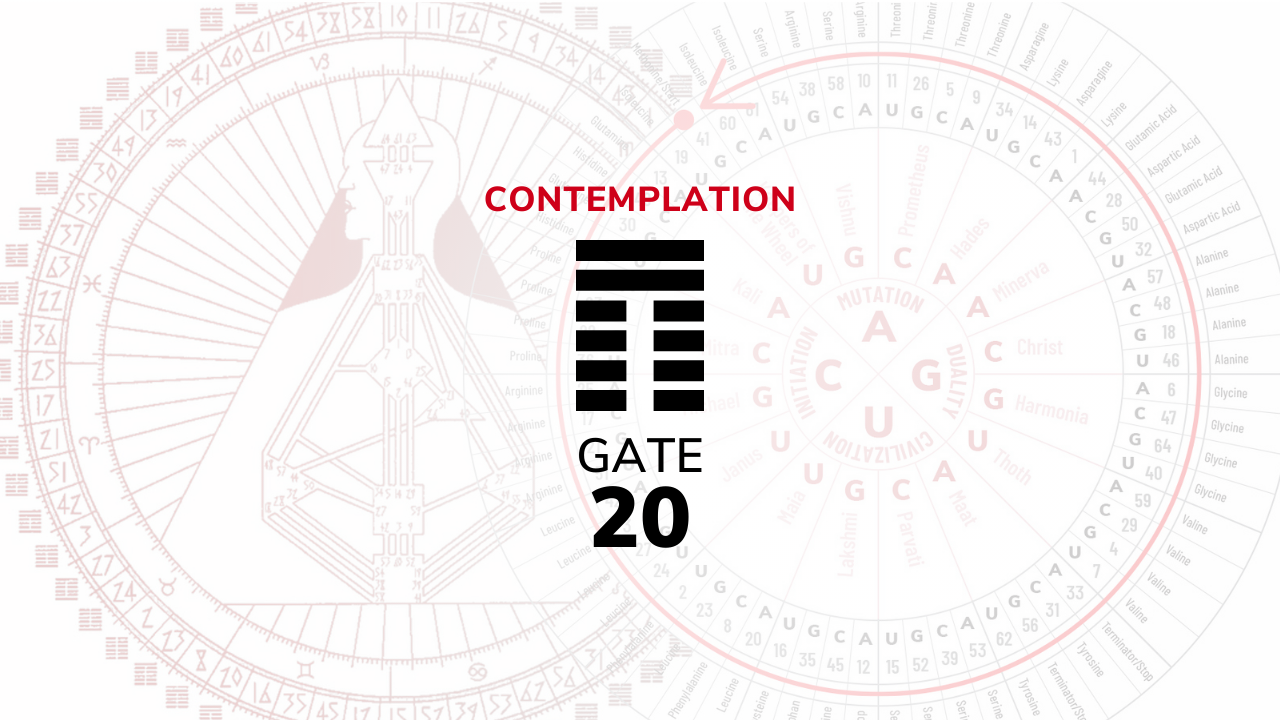 Gate 20 – Contemplation