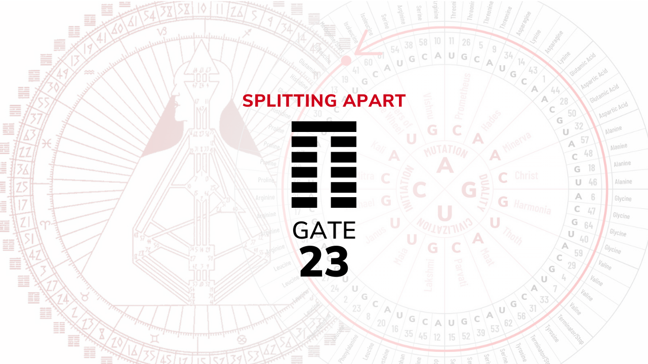 Gate 23 – Splitting Apart
