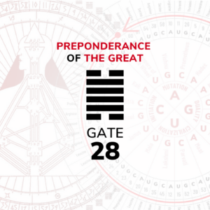 Gate 28 - Preponderance of the Great