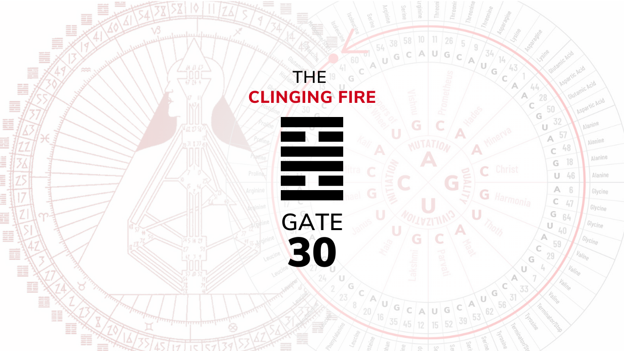 30 Gate Gate 30 - The Clinging Fire | The New School of Human Design