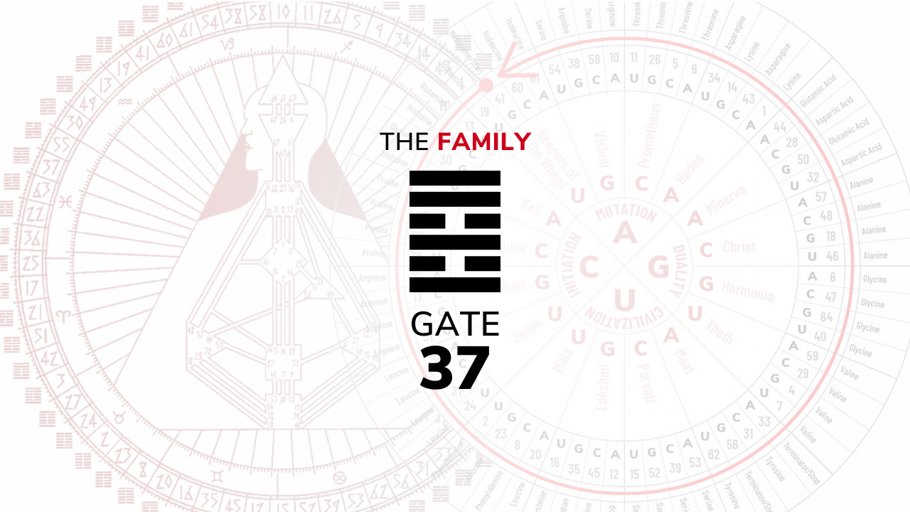 Gate 37 – The Family