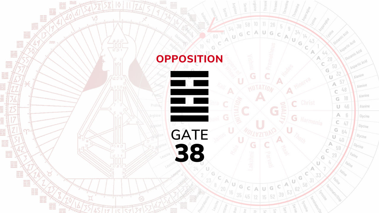 Gate 38 – Opposition