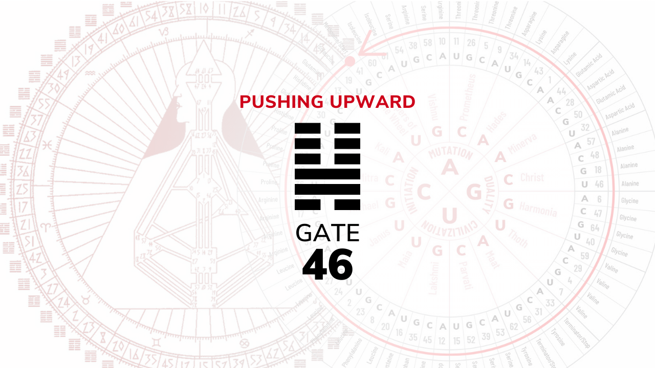 Gate 46 – Pushing Upward