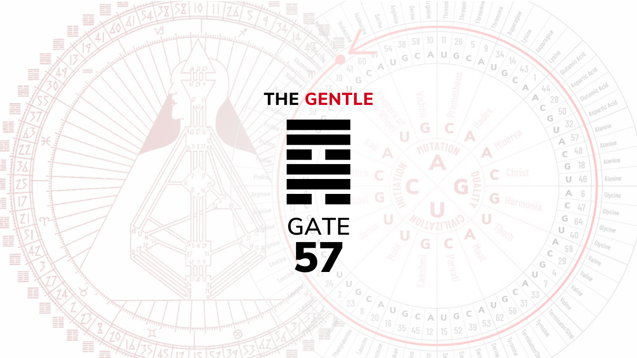 Gate 57 – The Gentle