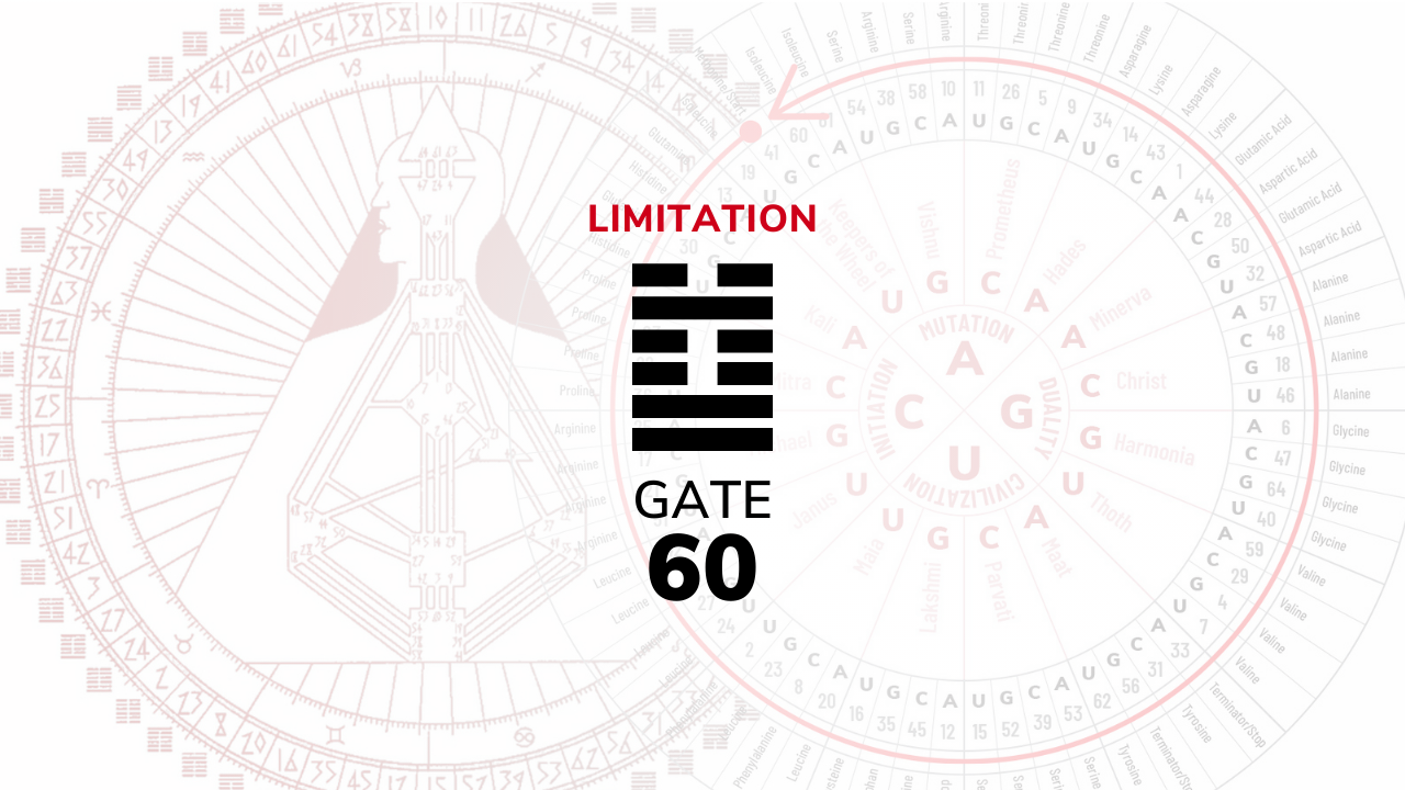 Gate 60 – Limitation