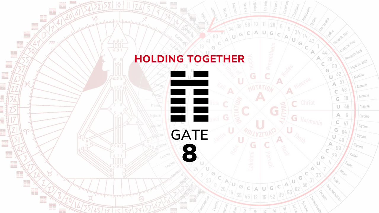 Gate 8 – Holding Together