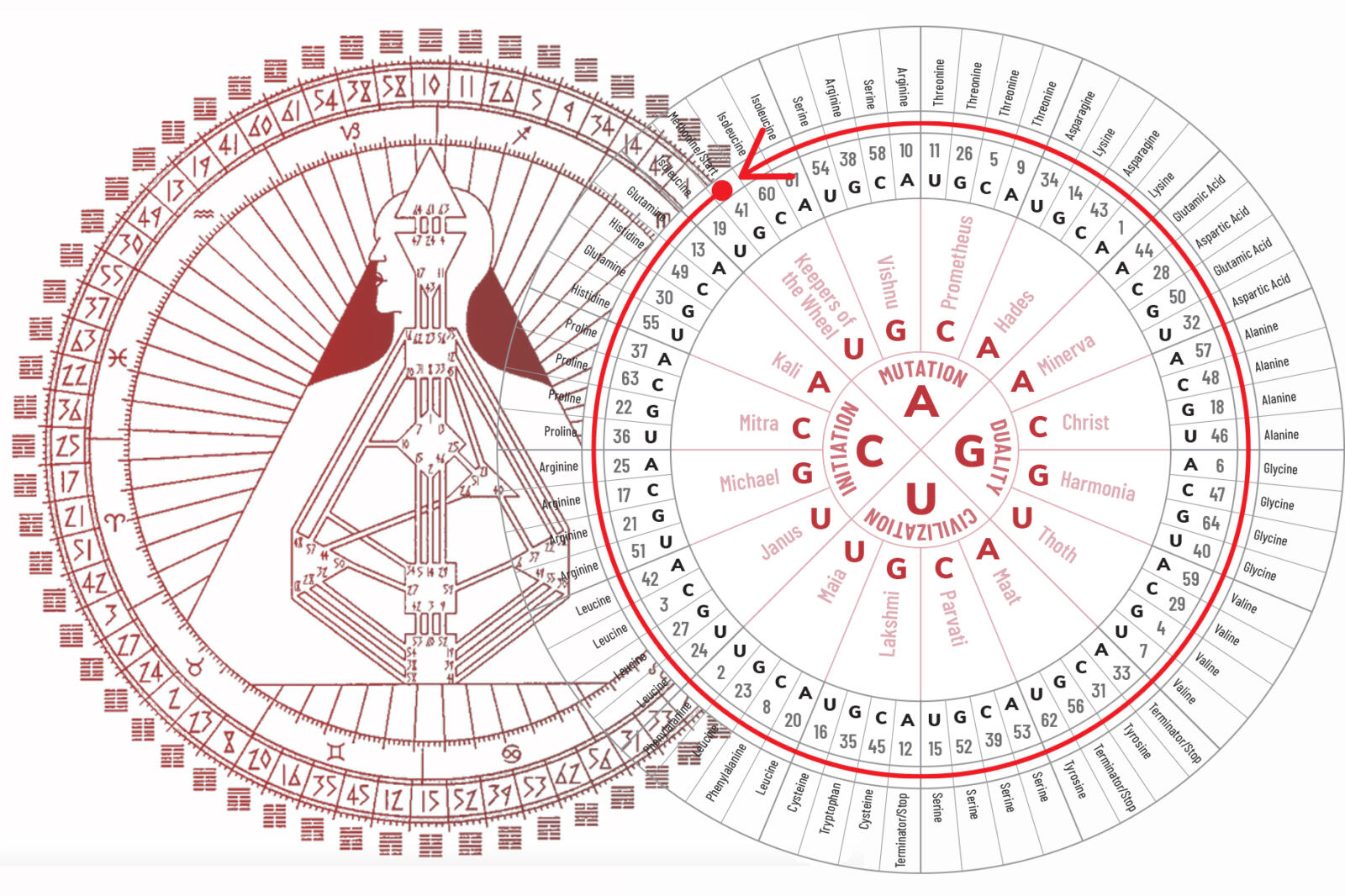 Rave Mandala 360 (Whole Course)