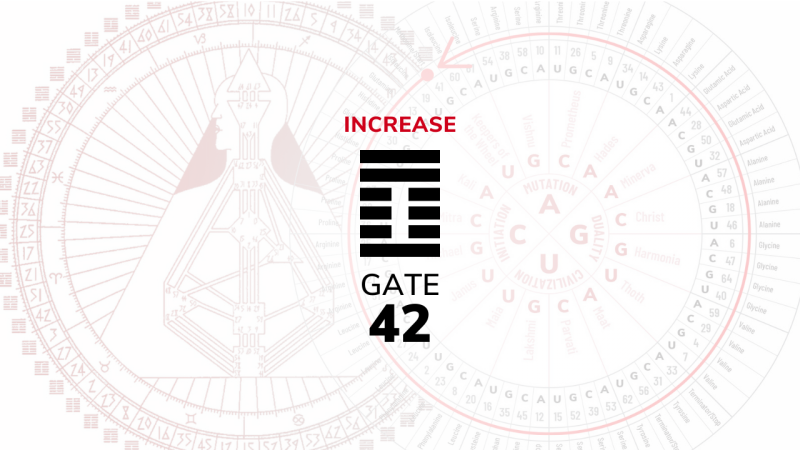Gate 42 – Increase