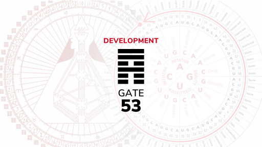 Gate 53 – Development