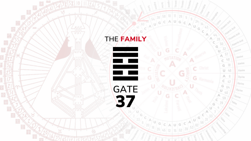Gate 37 – The Family