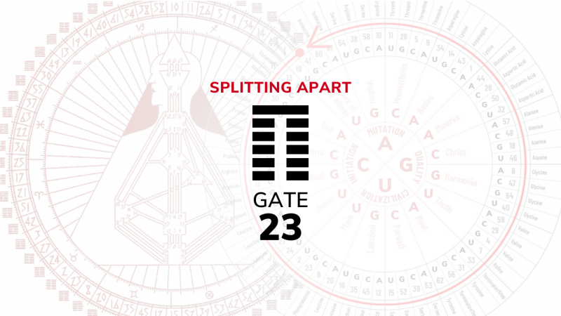 Gate 23 – Splitting Apart