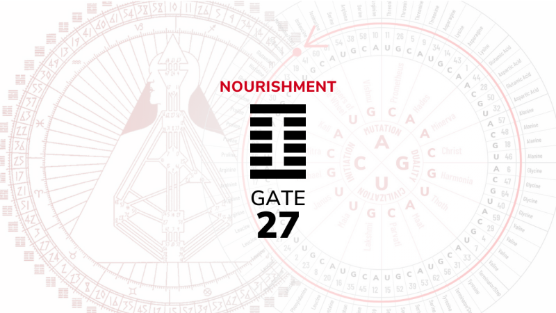 Gate 27 – Nourishment