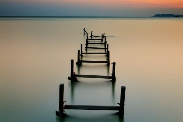Uncovering the Not-Self Support Path
