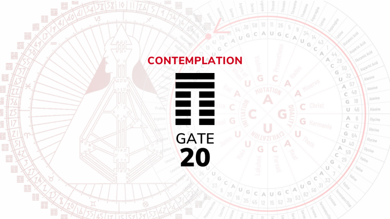 Gate 20 – Contemplation