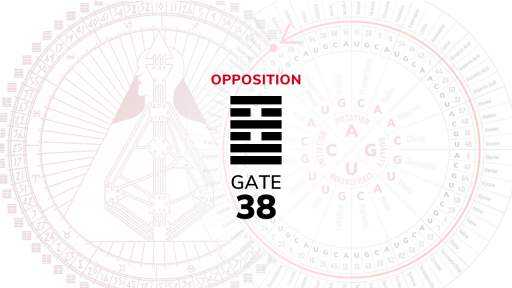 Gate 38 – Opposition