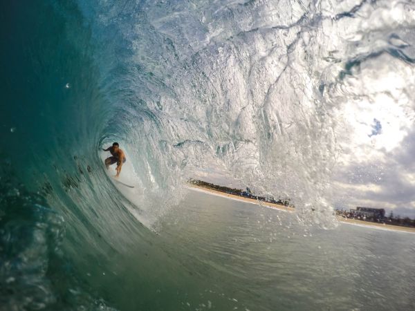 The Role of the Mind Throughout the Wave
