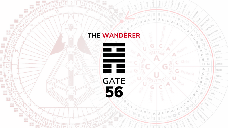 Gate 56 – The Wanderer