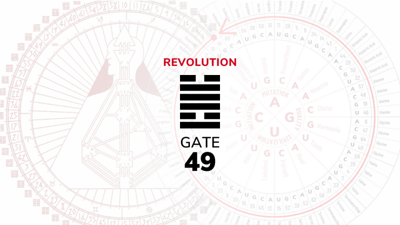 Gate 49 – Revolution