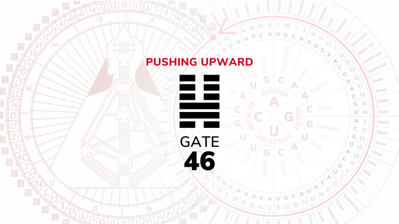 Gate 46 – Pushing Upward