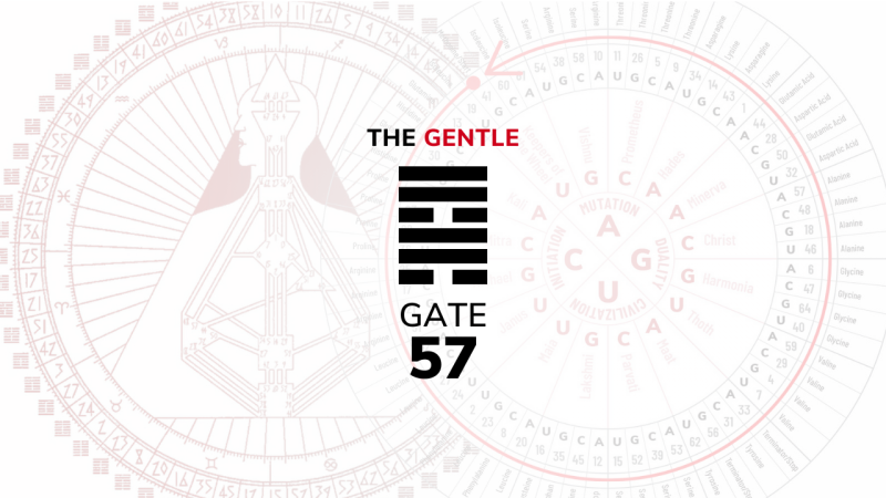 Gate 57 – The Gentle