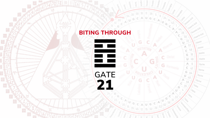 Gate 21 – Biting Through