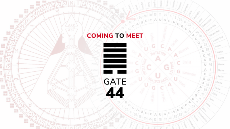 Gate 44 – Coming to Meet