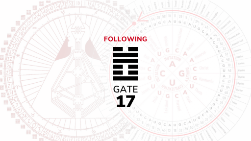 Gate 17 – Following