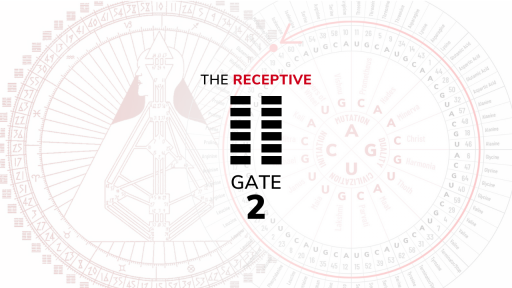 Gate 2 – The Receptive