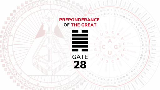 Gate 28 – Preponderance of the Great