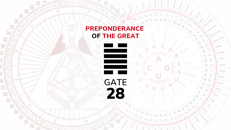 Gate 28 – Preponderance of the Great
