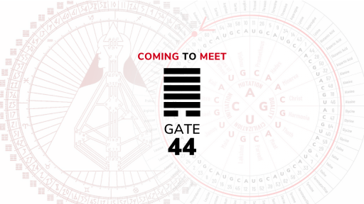Gate 44 – Coming to Meet