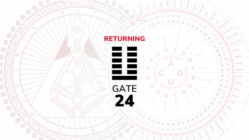 Gate 24 – Returning