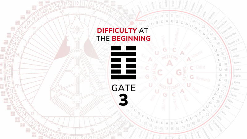 Gate 3 – Difficulty at the Beginning