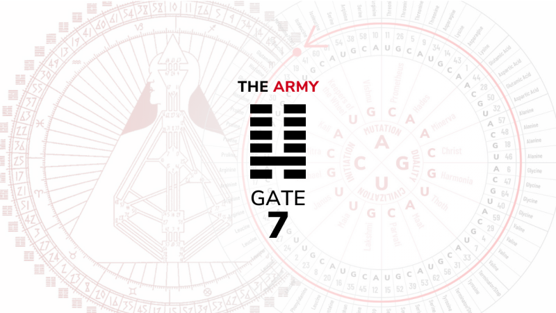 Gate 7 – The Army