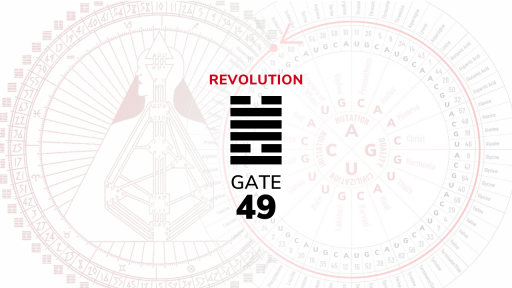 Gate 49 – Revolution