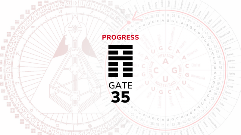 Gate 35 – Progress